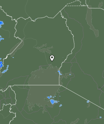 Валежи