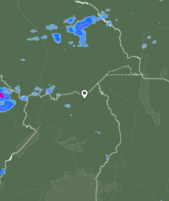 Валежи