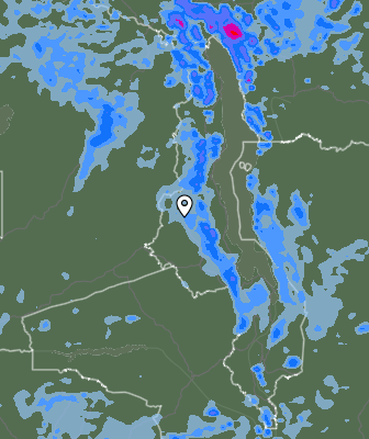 Niederschlagsprognose