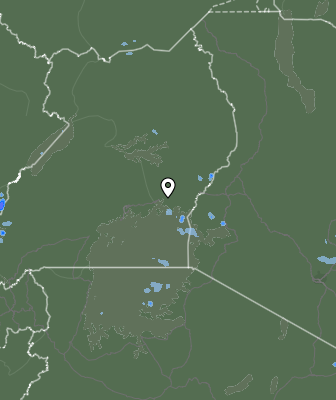 Валежи