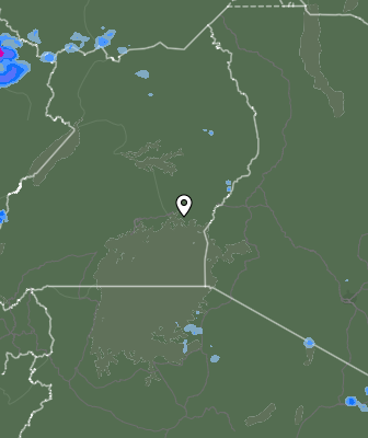 Валежи