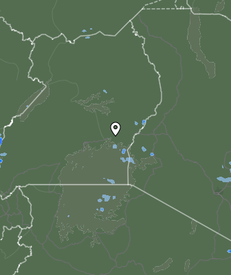 Валежи