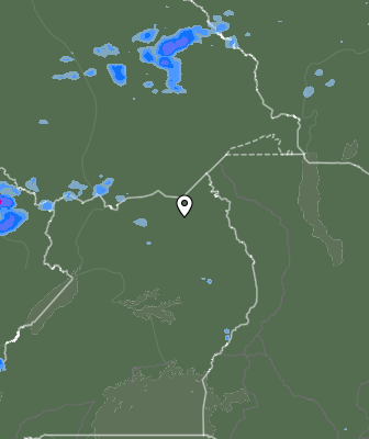 Валежи