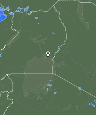 Валежи