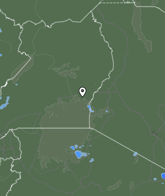 Валежи