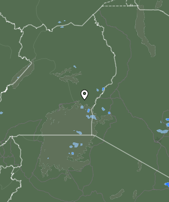 Валежи