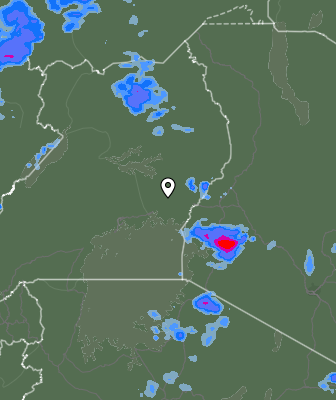 Niederschlagsprognose