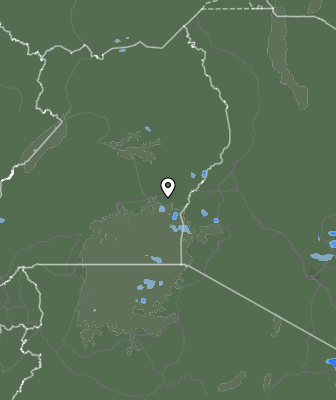 Валежи