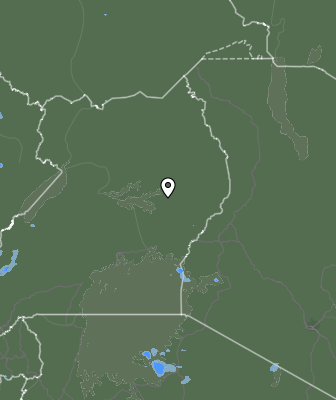 Валежи