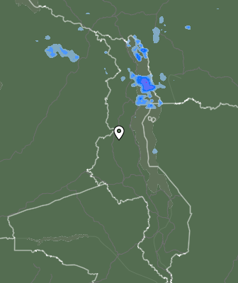 Niederschlagsprognose