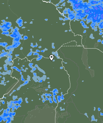 Валежи