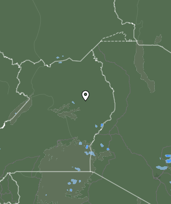 Валежи