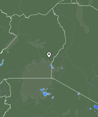 Валежи
