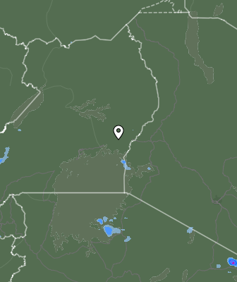 Валежи