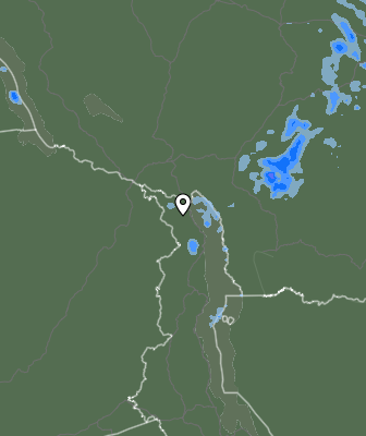 Niederschlagsprognose