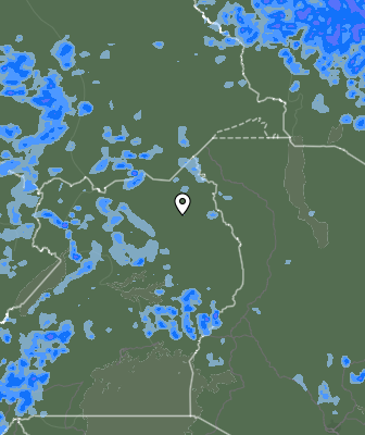 Валежи
