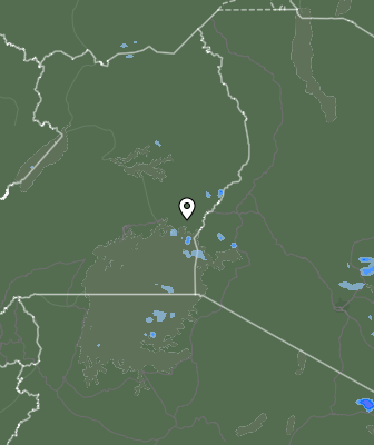 Валежи