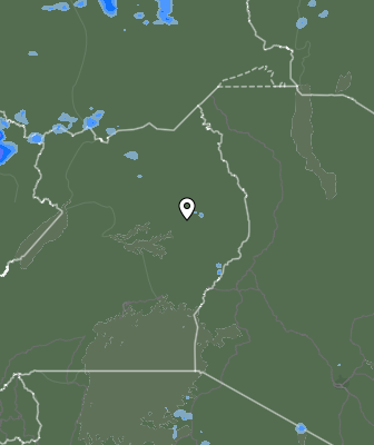 Валежи
