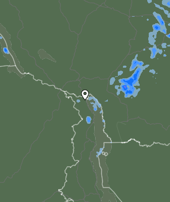 Niederschlagsprognose