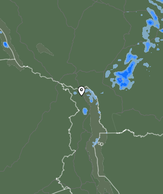 Niederschlagsprognose
