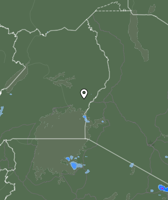 Валежи