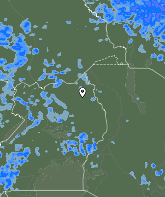 Валежи