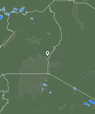 Валежи