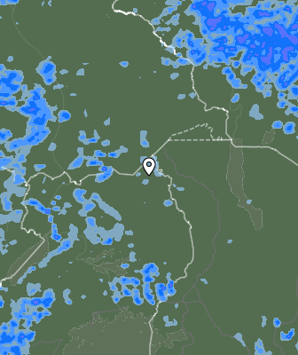Валежи