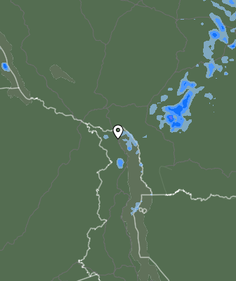 Niederschlagsprognose