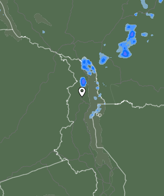 Niederschlagsprognose