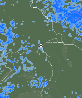 Валежи