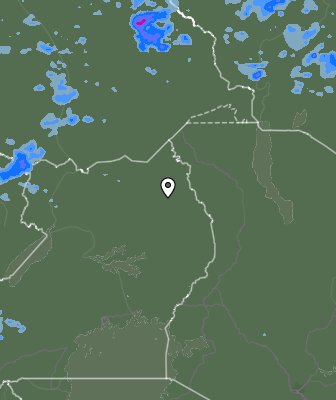 Валежи