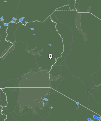 Валежи