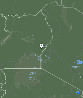 Валежи