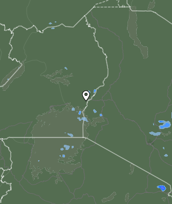Валежи