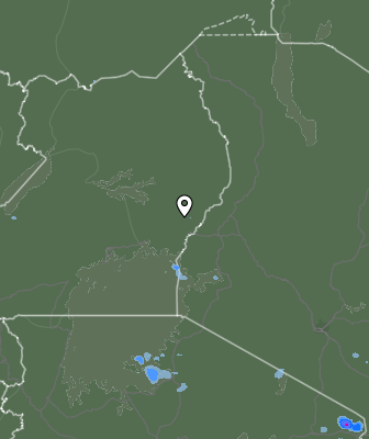 Валежи