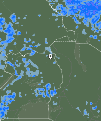 Валежи