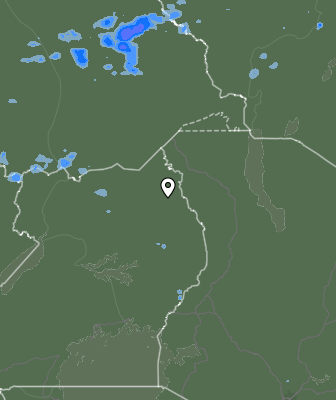 Валежи