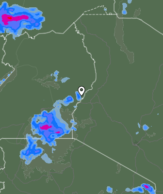 Niederschlagsprognose