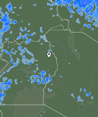 Валежи