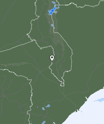 Niederschlagsprognose