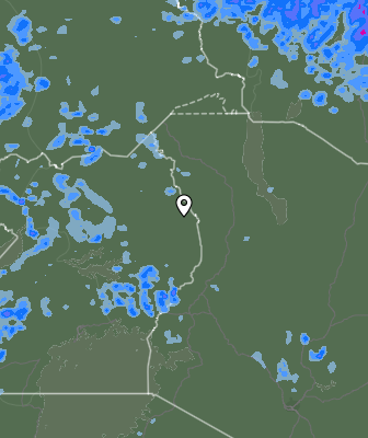 Валежи