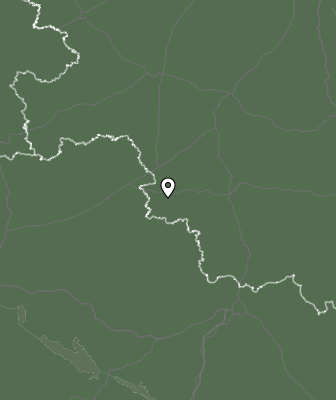 Niederschlagsprognose