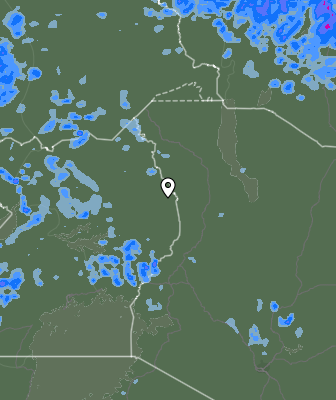Валежи