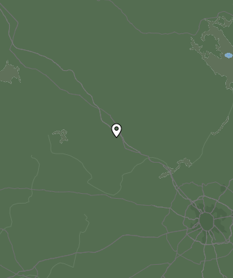 Niederschlagsprognose