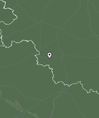 Niederschlagsprognose