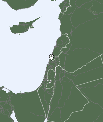 Neerslag
