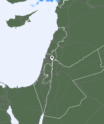 Niederschlagsprognose