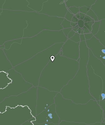 Niederschlagsprognose