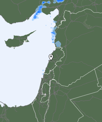 Neerslag